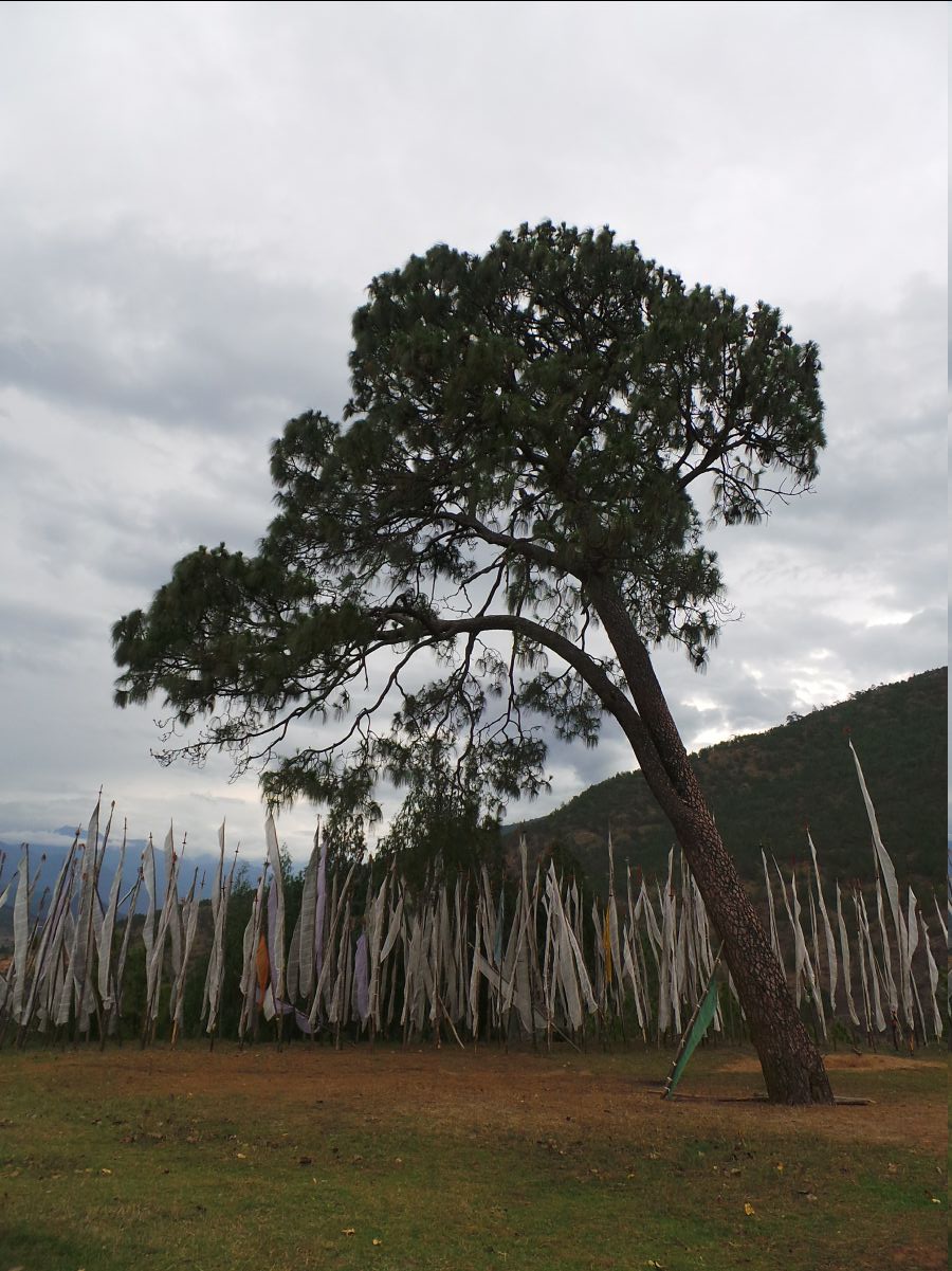 Chemi Lhakang Temple06